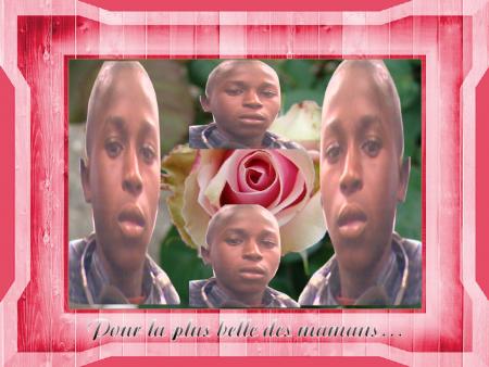 slt ca va door doorate